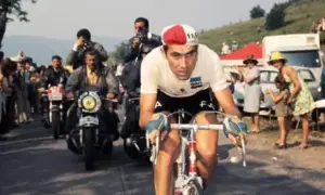 Eddy-Merckx